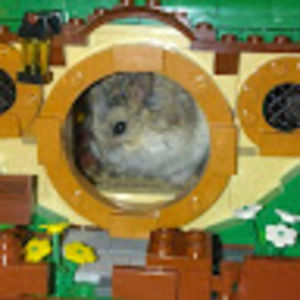 Meet your Posher, Jo